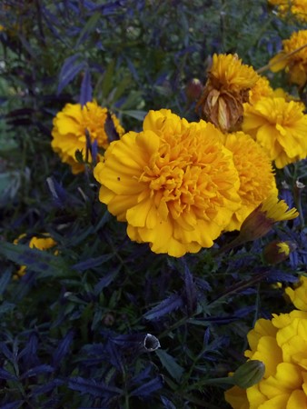 338x450  62 KB. Big one: 3120x4160  3221 KB