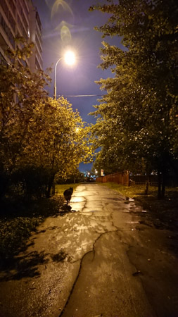 253x450  50 KB. Big one: 3096x5504  4891 KB