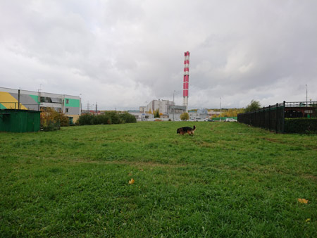 450x338  48 KB. Big one: 5056x3792  7203 KB