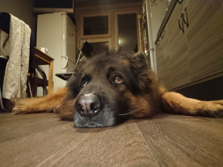 450x338  57 KB. Big one: 4160x3120  3432 KB