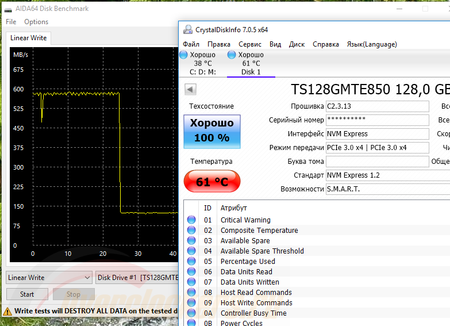 450x326  128 KB. Big one: 783x567  122 KB
