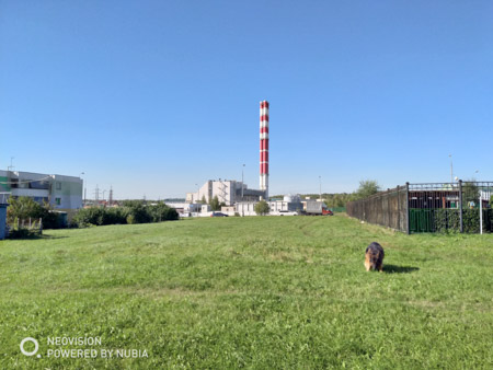 450x338  46 KB. Big one: 4032x3024  4413 KB