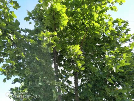 450x338 50 KB. Big one: 4032x3024 5689 KB 450x338 50 KB. Big one: 4032x3024 5689 KB