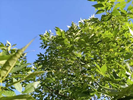 450x338 56 KB. Big one: 4032x3024 5490 KB 450x338 56 KB. Big one: 4032x3024 5490 KB