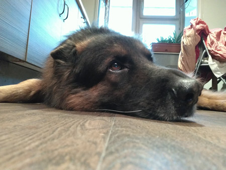 450x338  48 KB. Big one: 4608x3456  3684 KB