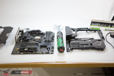 450x300  74 KB. Big one: 1500x1000  331 KB