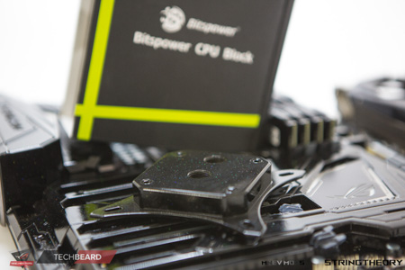 450x300  80 KB. Big one: 1500x1000  393 KB