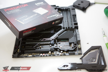 450x300  89 KB. Big one: 1500x1000  384 KB