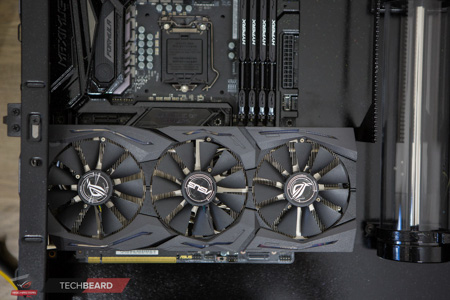 450x300  98 KB. Big one: 1500x1000  557 KB