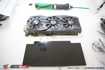 450x300  76 KB. Big one: 1500x1000  366 KB