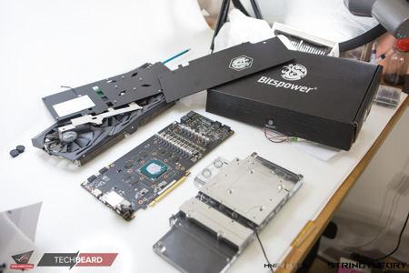 450x300  89 KB. Big one: 1500x1000  413 KB