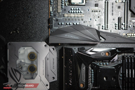 450x300  108 KB. Big one: 1500x1000  686 KB