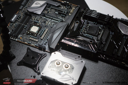 450x300  107 KB. Big one: 1500x1000  602 KB