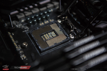 450x300  79 KB. Big one: 1500x1000  409 KB