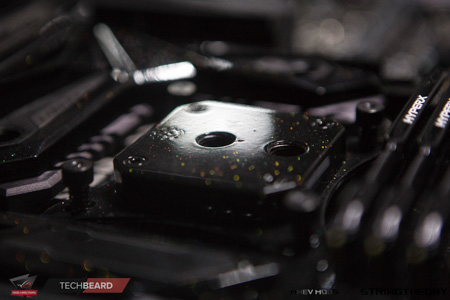 450x300  67 KB. Big one: 1500x1000  390 KB