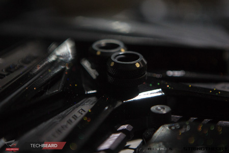 450x300  62 KB. Big one: 1500x1000  398 KB