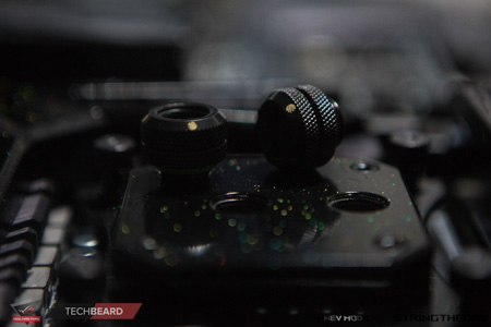 450x300  59 KB. Big one: 1500x1000  389 KB