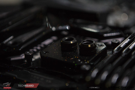 450x300  62 KB. Big one: 1500x1000  339 KB