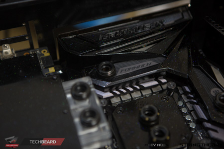 450x300  76 KB. Big one: 1500x1000  370 KB