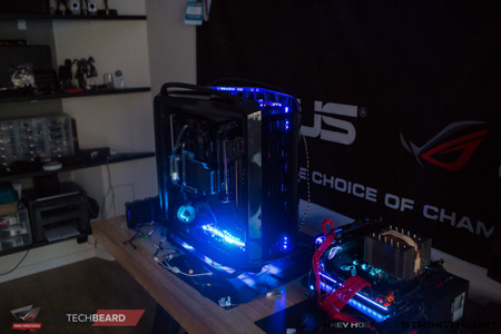 450x300  84 KB. Big one: 1500x1000  486 KB