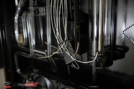 450x300  84 KB. Big one: 1500x1000  449 KB