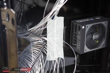 450x300  88 KB. Big one: 1500x1000  440 KB