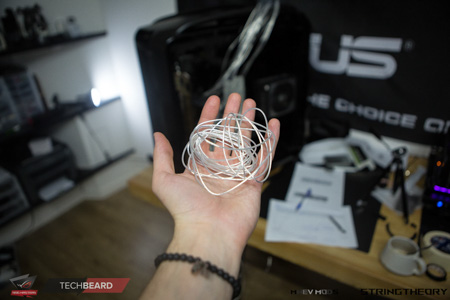 450x300  75 KB. Big one: 1500x1000  370 KB