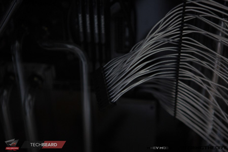 450x300  62 KB. Big one: 1500x1000  311 KB