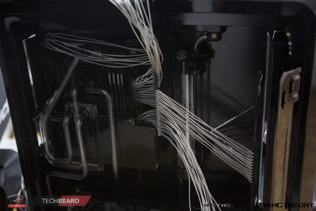 450x300  78 KB. Big one: 1500x1000  455 KB