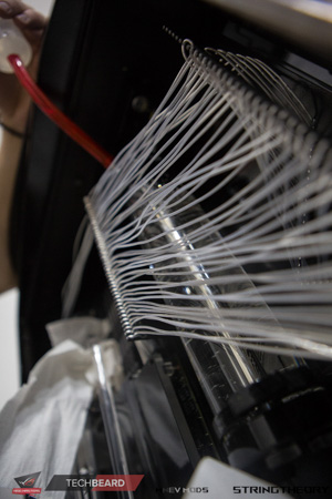 300x450  86 KB. Big one: 1000x1500  458 KB