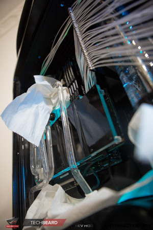 300x450  98 KB. Big one: 1000x1500  499 KB