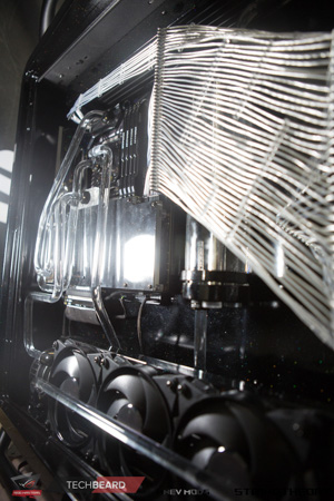 300x450  108 KB. Big one: 1000x1500  578 KB