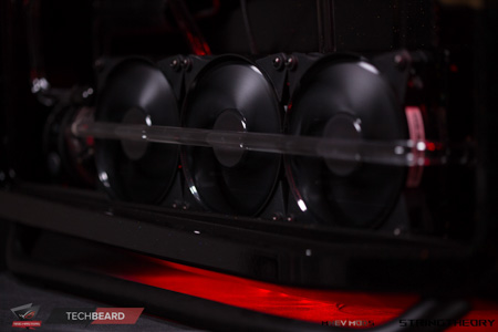 450x300  54 KB. Big one: 1500x1000  243 KB