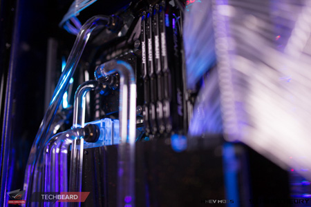 450x300  92 KB. Big one: 1500x1000  424 KB