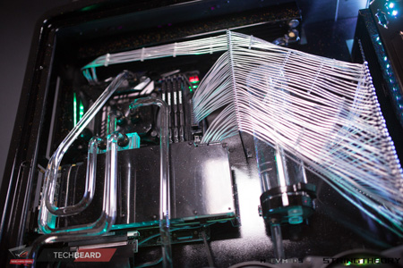 450x300  125 KB. Big one: 1500x1000  667 KB