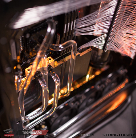 442x450  156 KB. Big one: 1474x1500  693 KB