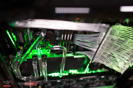 450x300  116 KB. Big one: 1500x1000  546 KB