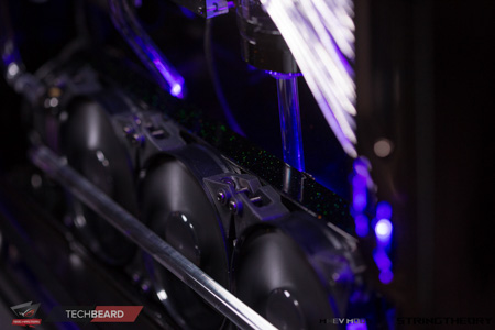 450x300  70 KB. Big one: 1500x1000  332 KB