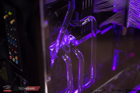 450x300  87 KB. Big one: 1500x1000  395 KB