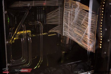 450x300  100 KB. Big one: 1500x1000  493 KB