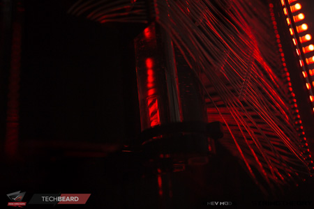 450x300  77 KB. Big one: 1500x1000  360 KB