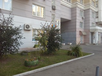 333x250  94 KB. Big one: 3264x2448  2768 KB