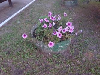 333x250  103 KB. Big one: 3264x2448  4390 KB