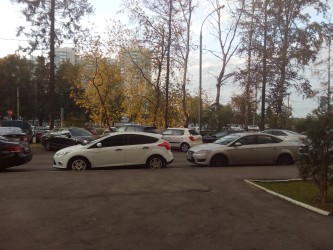 333x250  96 KB. Big one: 3264x2448  3427 KB