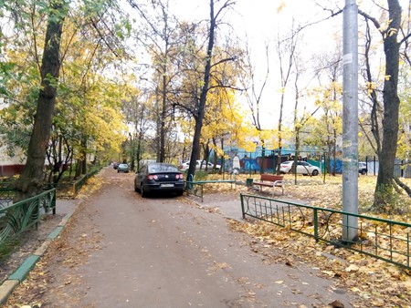 450x338  75 KB. Big one: 3264x2448  3445 KB