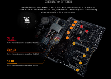 450x320  81 KB. Big one: 1500x1066  567 KB