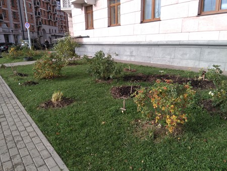 450x338  66 KB. Big one: 4160x3120  5496 KB