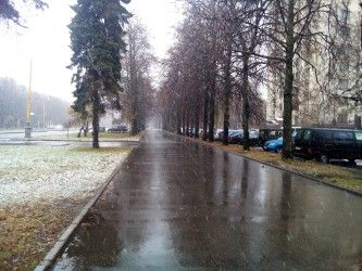 333x250  35 KB. Big one: 3264x2448  1817 KB