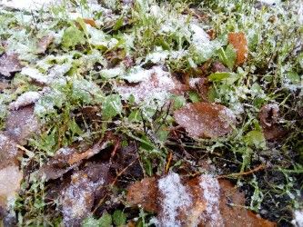 333x250  51 KB. Big one: 3264x2448  2216 KB