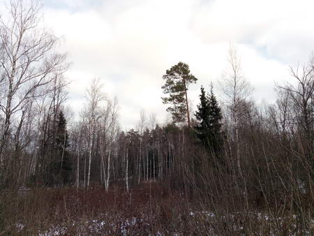 450x338  42 KB. Big one: 4160x3120  6316 KB